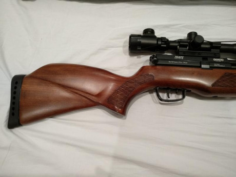 Vendo carabina pcp Gamo Coyote Whisper calibre 5.5, visor 4-24x50, bomba manual Gamo y funda de transporte 01
