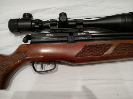 Vendo carabina pcp Gamo Coyote Whisper calibre 5.5, visor 4-24x50, bomba manual Gamo y funda de transporte 00