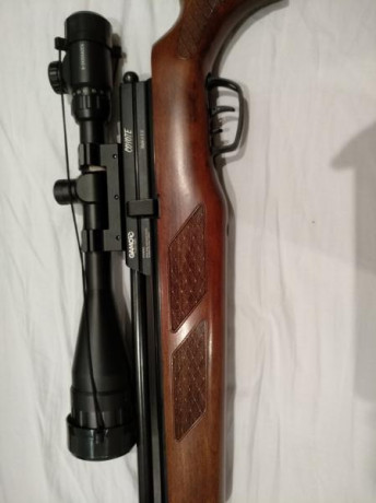 Vendo carabina pcp Gamo Coyote Whisper calibre 5.5, visor 4-24x50, bomba manual Gamo y funda de transporte 10
