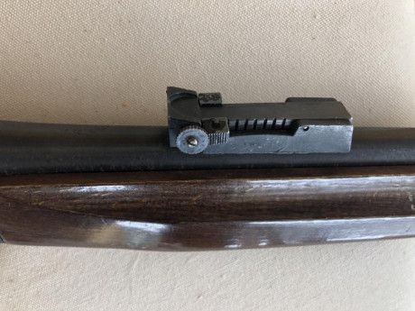 semiautomática , cañón roscado, incluye cargador de 15 balas . Agrupa muy bien. Muy ligera, se monta y 00