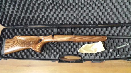 Se vende  rifle SABATTI L W 308 con carril de 20 Moas
Mando fotos por WASS 637958295
También vendo carabina 02