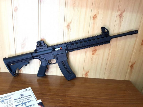 Vendo por necesitar hueco en la licencia carabina Smith & Wesson  MP 15 - 22 en perfecto estado tanto 00