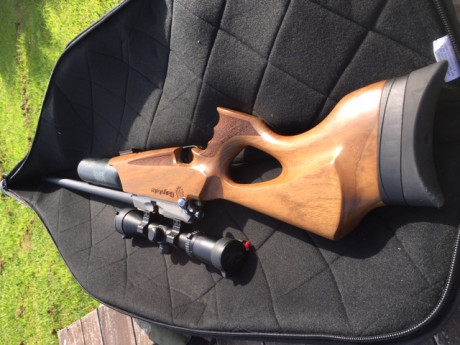 Vendo esta carabina Daystate modelo Wolverine HP en calibre 6,35 (.25)
Comprada en Noviembre 2018 (8meses) 02