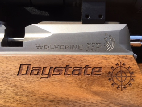 Vendo esta carabina Daystate modelo Wolverine HP en calibre 6,35 (.25)
Comprada en Noviembre 2018 (8meses) 00