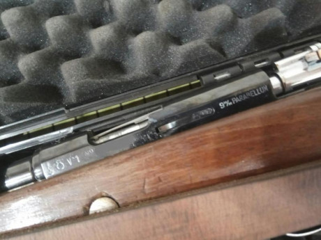 Carabina destroyer calibre 9mm parabellum, con dos clases diferentes de alimentación, cargador largo con 12