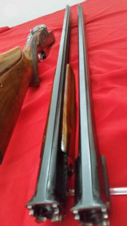 Escopeta con doble juego de cañones  para plato y pichón,   1*- cañón de 75 cm 1 y 2  estrellas.  2*- 00