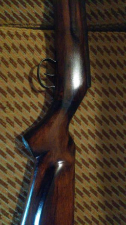 Buenas noches compañeros,  en un lote de carabinas para restaurar me ha venido esta carabina y la cuestión 100