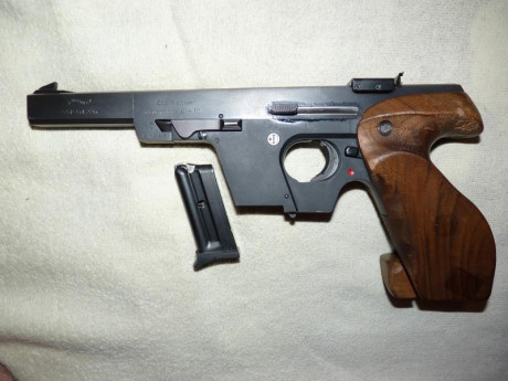 Vendo pistola Walther GSP, calibre .22. Cañón a espejo, muy buen estado general. Incluye dos cargadores.
El 01
