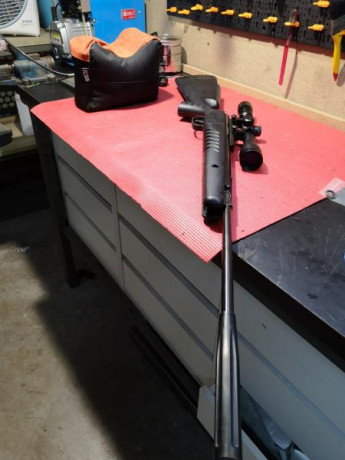 Vendo esta crosman NITRO VENON 5.5 prácticamente nueva, apenas una lata dispara, sin óxidos ni marcas, 02