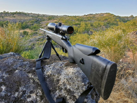 Buenas noches!! 

Pues estoy pensando en coger un bípode para mi rifle de esos pequeños. Es un remintong 100