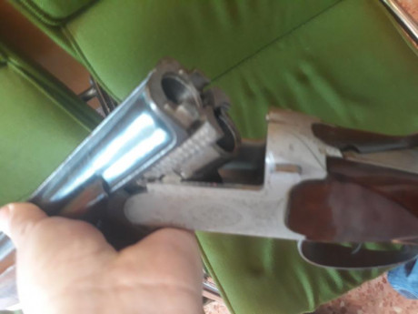 Vendo superpuesta Ego expulsora dos gatillos 180 €.

Cañones cromados de 71 cm  2 y 1 *

Se puede ver 00