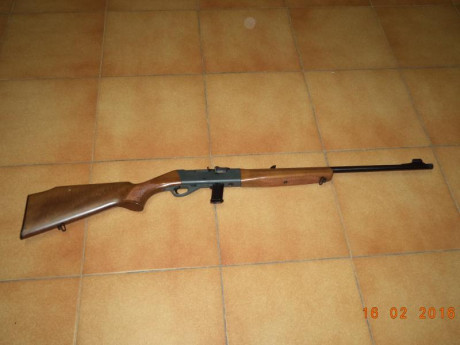 Hola,

Busco carabina 22lr semiautomatica con rosca de fabrica o bope, no me interesa norinco.
Me da igual 10