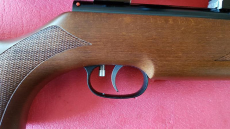 Buenas, hace unas semanas, compré una weirhauch 95, de la cual ya di mi impresión en este foro. La carabina 11