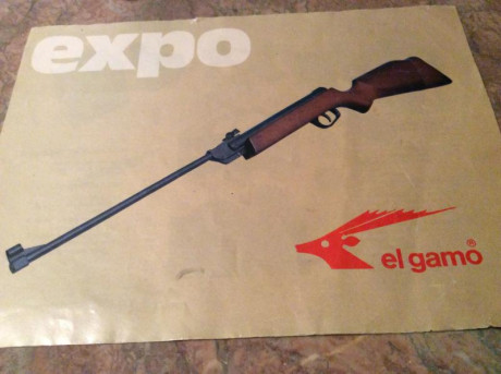 Hola, el mes pasado compre usada aqui en el foro una Gamo Compact, hasta hoy no había tenido tiempo de 61