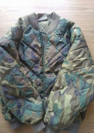 Bomber Ejercito de tierrra. Nueva. Sin uso. Talla 5 (una L civil)

50 euros envio incluido correo certificado 01
