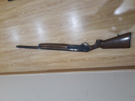 Benelli sl 121 Para becada

Cañon de 60 cm con chokes

Poco usada.

Esta en la Rioja pero se puede ver 01