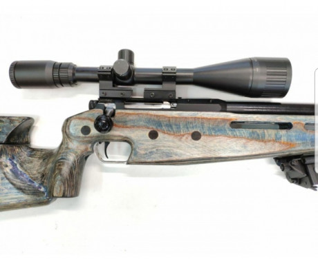Izhmash record-1 en calibre 308 con visor 10x40x50 adaptador harris y bipode búfalo culata laminada el 20