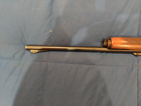 Hola

Vendo a quien pueda interesar, un rifle 742 woodmaster semiautomatico en calibre 30.06.
He comprado 02