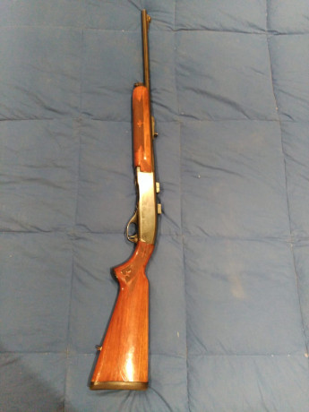 Hola

Vendo a quien pueda interesar, un rifle 742 woodmaster semiautomatico en calibre 30.06.
He comprado 01