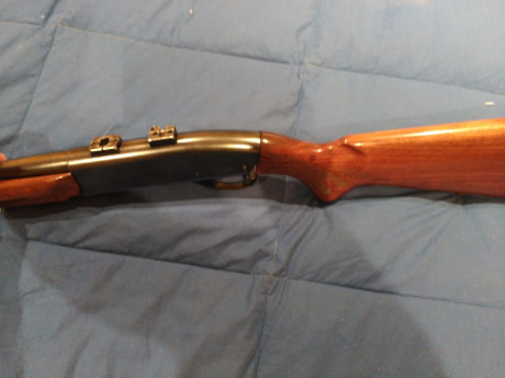 Hola

Vendo a quien pueda interesar, un rifle 742 woodmaster semiautomatico en calibre 30.06.
He comprado 10
