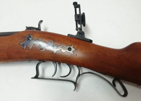 VENDO rifle TRYON, de Pedersoli, Cal. 54, con diopter y tunel.
Rifle mucho mejor equilibrado gracias al 00