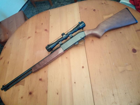 REBAJADO, vendo carabina semiautomática  marca winchester cal 22, con 17 balas en la varilla, con visor 02