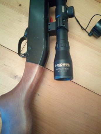REBAJADO, vendo carabina semiautomática  marca winchester cal 22, con 17 balas en la varilla, con visor 01