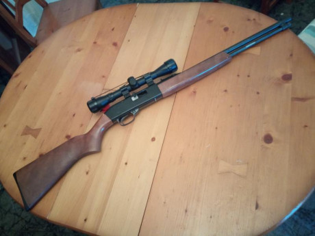 REBAJADO, vendo carabina semiautomática  marca winchester cal 22, con 17 balas en la varilla, con visor 00