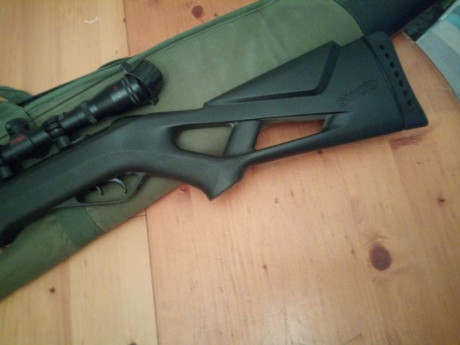 VENDIDA carabina de perdigones marca Gamo, modelo Whisper X cal. 5.5, visor Prima 4 x 32 y distorsionador 01