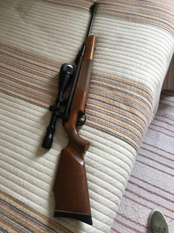 Hola vendo o cambio diana diana 54 airking cal 4,5 por 250e. Tiene el gatillo t01 el mejor.
Cambiaría 00
