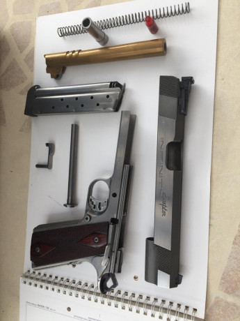 Hola compañeros, un buen amigo ha decidido poner a la venta su Infinity Scepter, la pistola está en muy 10
