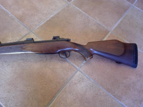 Hola,vendo los siguientes rifle
Winchester 94,calibre 30-30 350€
Semi remington 7400,calibre 280,holografico 40