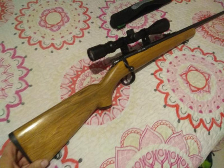 Vendo esta carabina norinco jw15 impoluta, tengo que hacer sitio en el armero visor 3-9x40, es muy precisa, 01