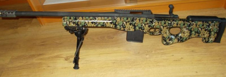Hola, muy a mi pesar pongo en venta este rifle, es un Remington 700 police LTR en 308 ,tendrá unos 300 02