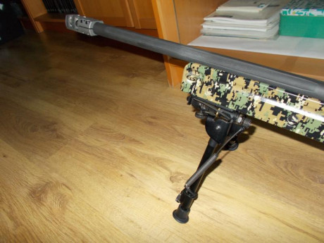 Hola, muy a mi pesar pongo en venta este rifle, es un Remington 700 police LTR en 308 ,tendrá unos 300 00
