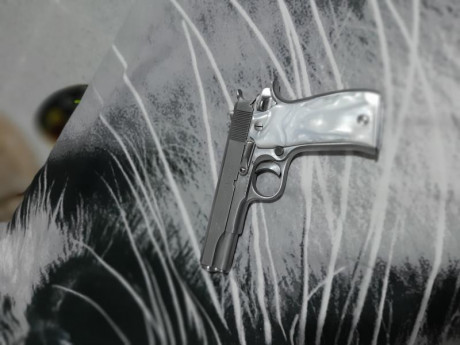 Cambio Star S súper guiada en F calibre 9 corto (380acp) por pistola tmb guiada en F o escopeta tactica 00
