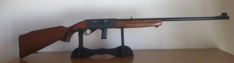 Vendo  CARABINA ANTCHUZ 
Calibre 22.
Desmontable.
Estado impecable.
Tecnología alemana
Daña la vista delo 02