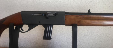 Vendo  CARABINA ANTCHUZ 
Calibre 22.
Desmontable.
Estado impecable.
Tecnología alemana
Daña la vista delo 01
