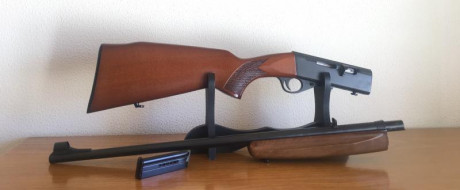 Vendo  CARABINA ANTCHUZ 
Calibre 22.
Desmontable.
Estado impecable.
Tecnología alemana
Daña la vista delo 00