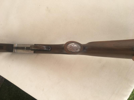 Vendo monotiro Enrico pedretti gardone.
 calibre 243 win, cañón roscado de fábrica y carril picatinny 61