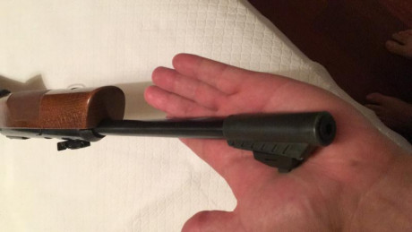 Cambio diana 54 con gatillo t01, el bueno, por una carabina de calidad similar en calibre 5,5 o 6,35 o 00