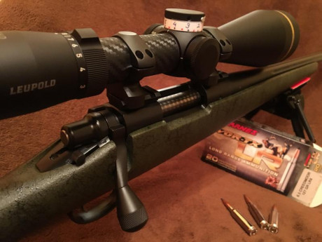 Me gustaria saber vuestra opinion/experiencia, ya que dudo entre un rifle de cerrojo en 308 ó 6,5 creedmoor. 41