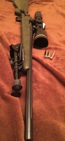 Me gustaria saber vuestra opinion/experiencia, ya que dudo entre un rifle de cerrojo en 308 ó 6,5 creedmoor. 40