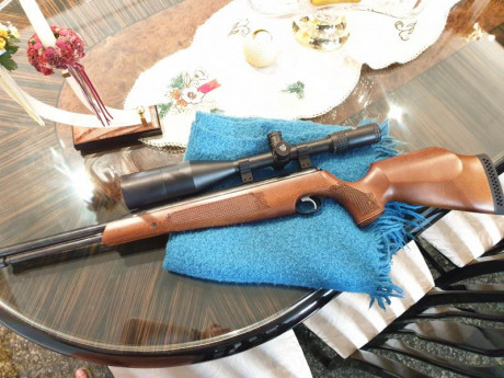 Vendo carabina air arms, empuñadura nueva.
Tiene doble encamisado y muelle cambiado, el tiro es finisimo.
La 01