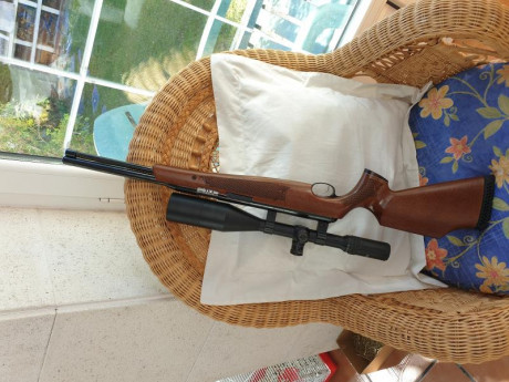 Vendo carabina air arms, empuñadura nueva.
Tiene doble encamisado y muelle cambiado, el tiro es finisimo.
La 00