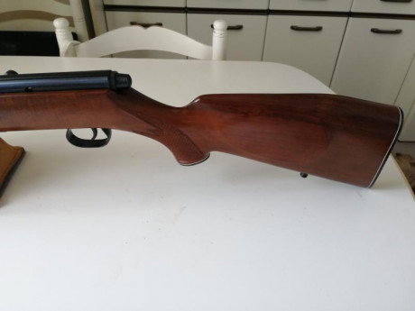 Hola, pongo a la venta esta Carabina marca Krico, calibre 22, se puede tirar en semi y tiro a tiro. la 02