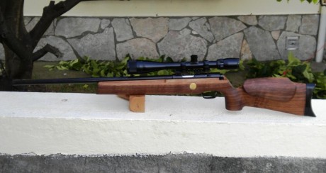 He oido ,a mucho tiradores, q las carabinas del 22lr nunca deberian ser lipiadas con la grata de alambre 30