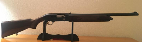 Vendo escopeta segunda mano  BREDA  
Semiautomática.
2 boquillas + protector de rosca
Calibre 12
 Cañón 02