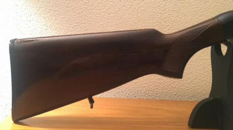 Vendo escopeta segunda mano  BREDA  
Semiautomática.
2 boquillas + protector de rosca
Calibre 12
 Cañón 00