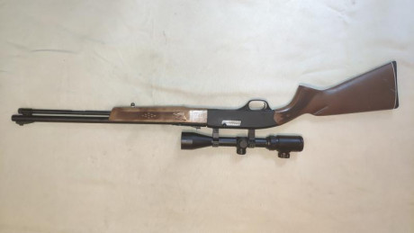 Vendo carabina semiautomática Winchester 290 22LR con visor 3-9 x 40 02